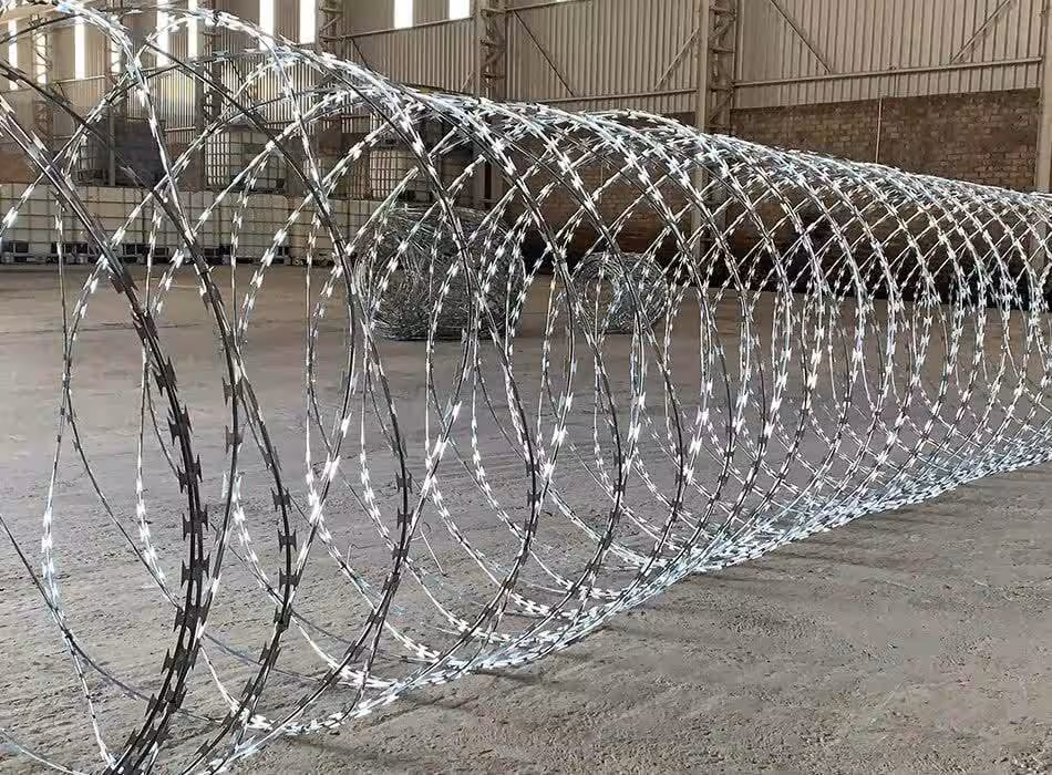 Concertina Coils.avif